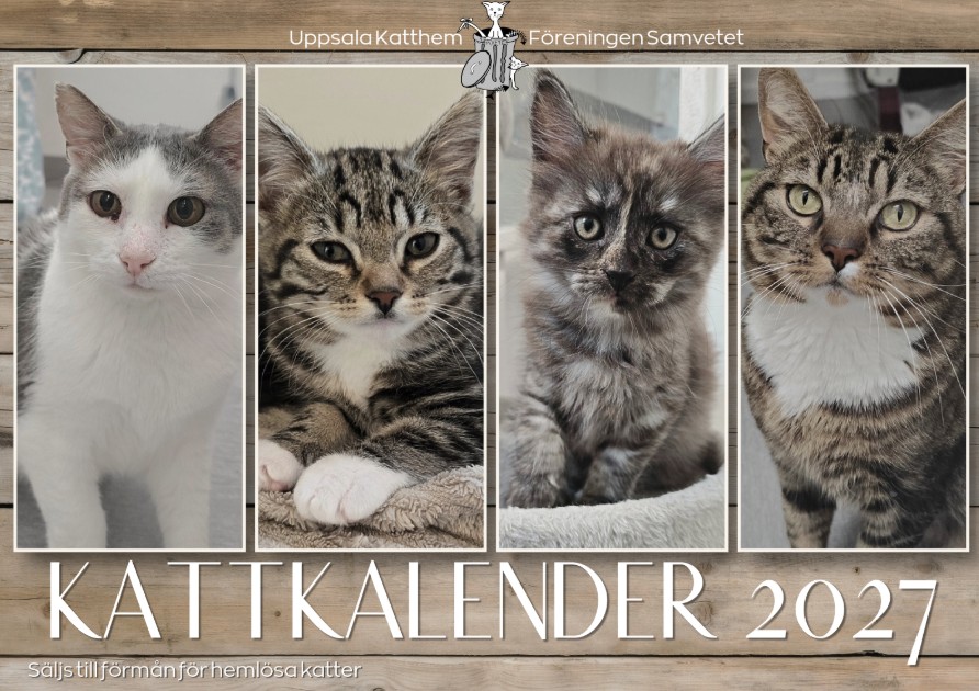 Kalender